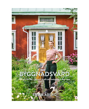 Byggnadsvård av Erika Åberg