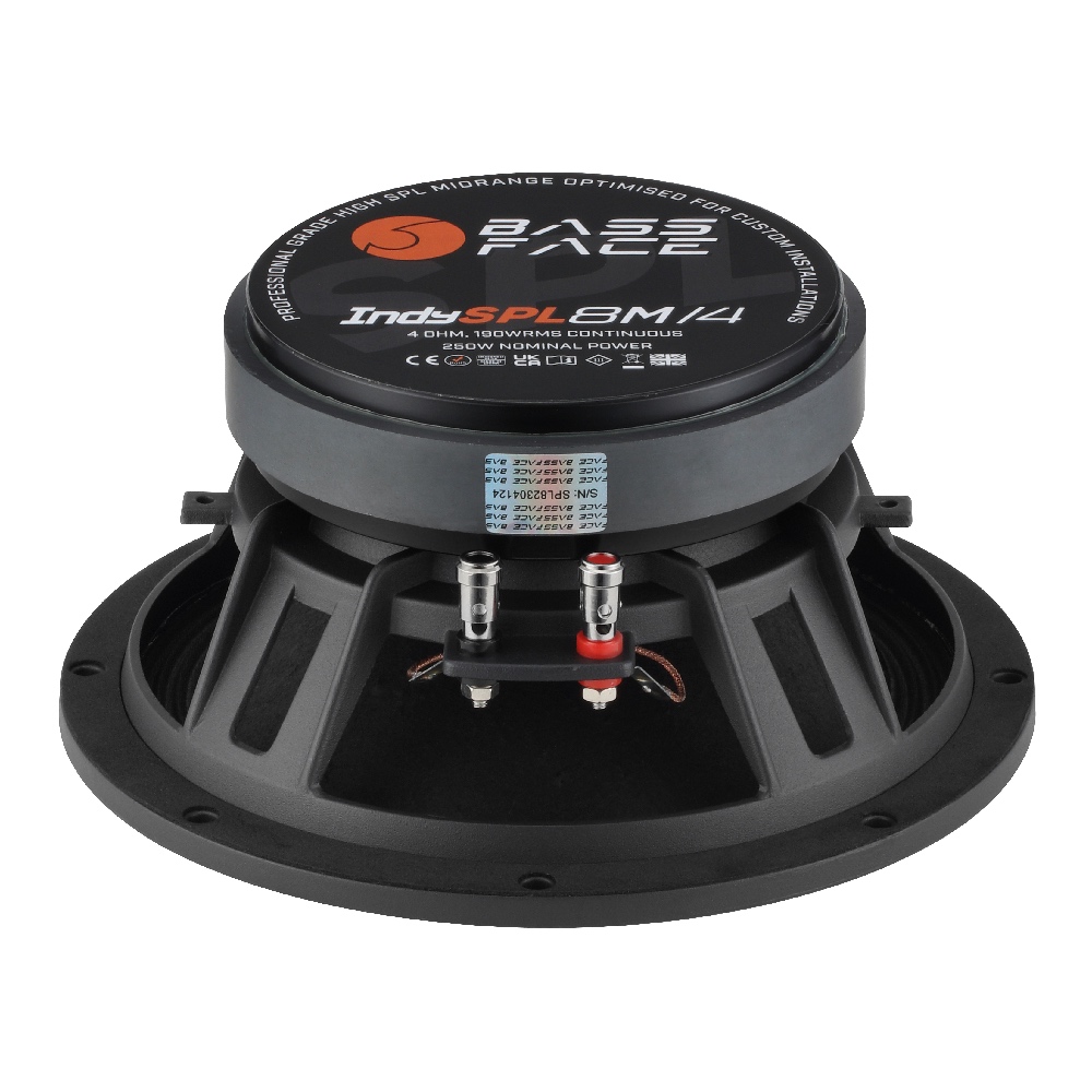 BASSFACE SPL8 - 3