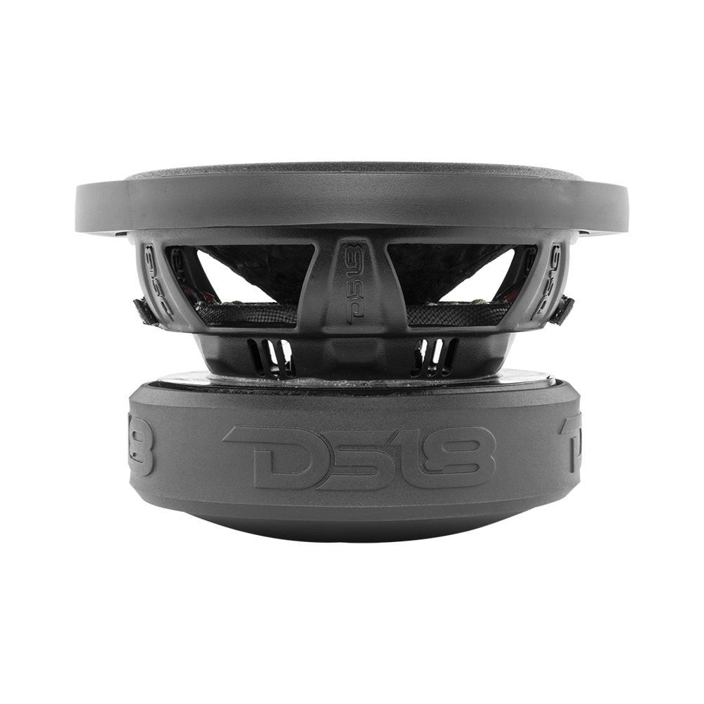 DS18 ZR6.4D
