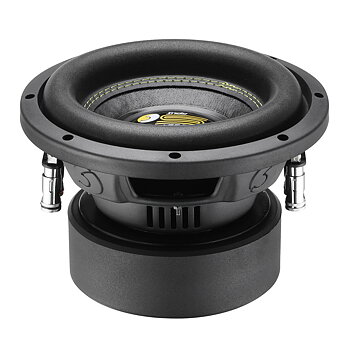 BASSFACE Indy S82