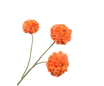 Silkka Flower Tagetes Orange 63 cm