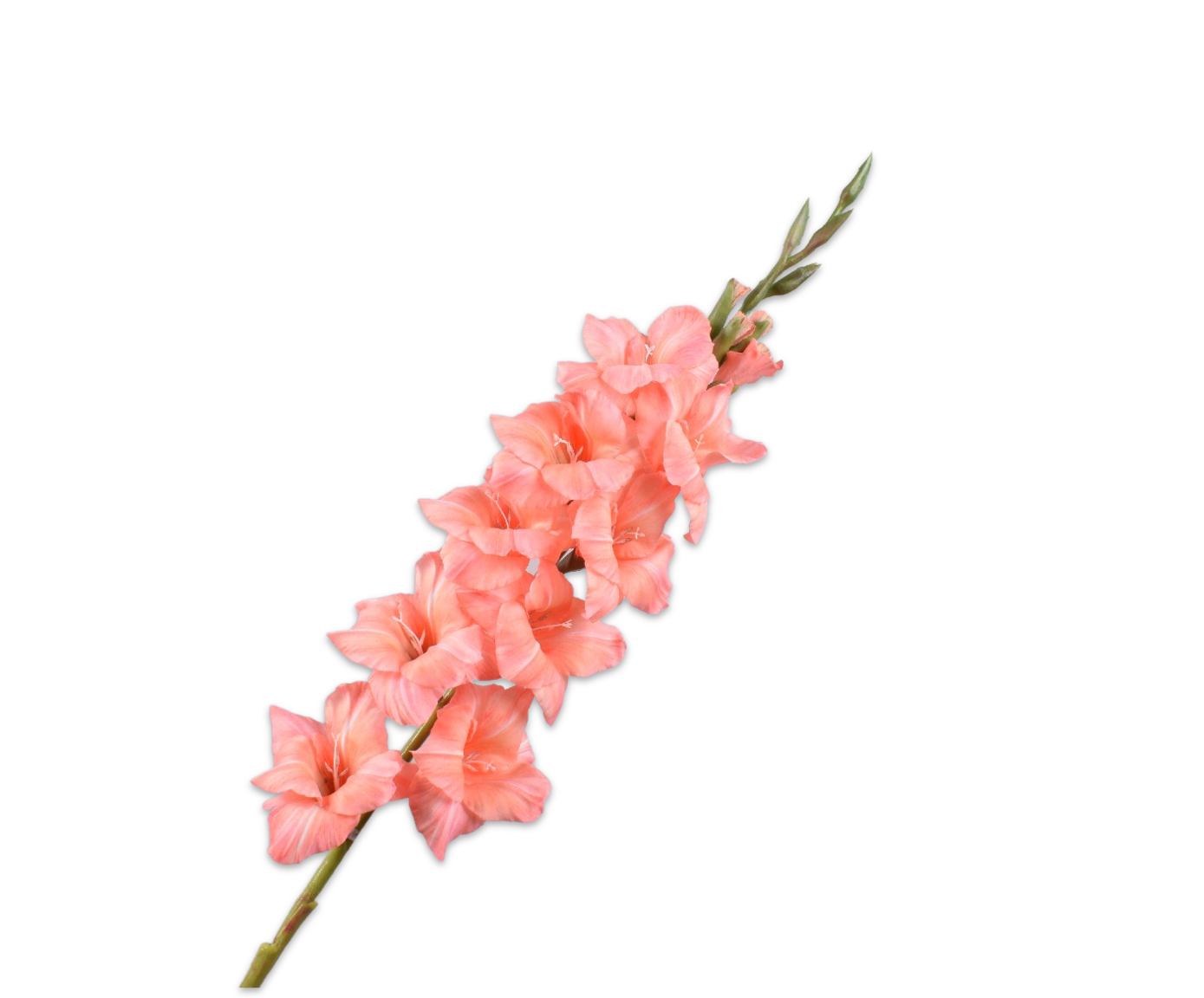 Silkka Flower Gladiolus Peach 101 cm - Candleroom Stockholm