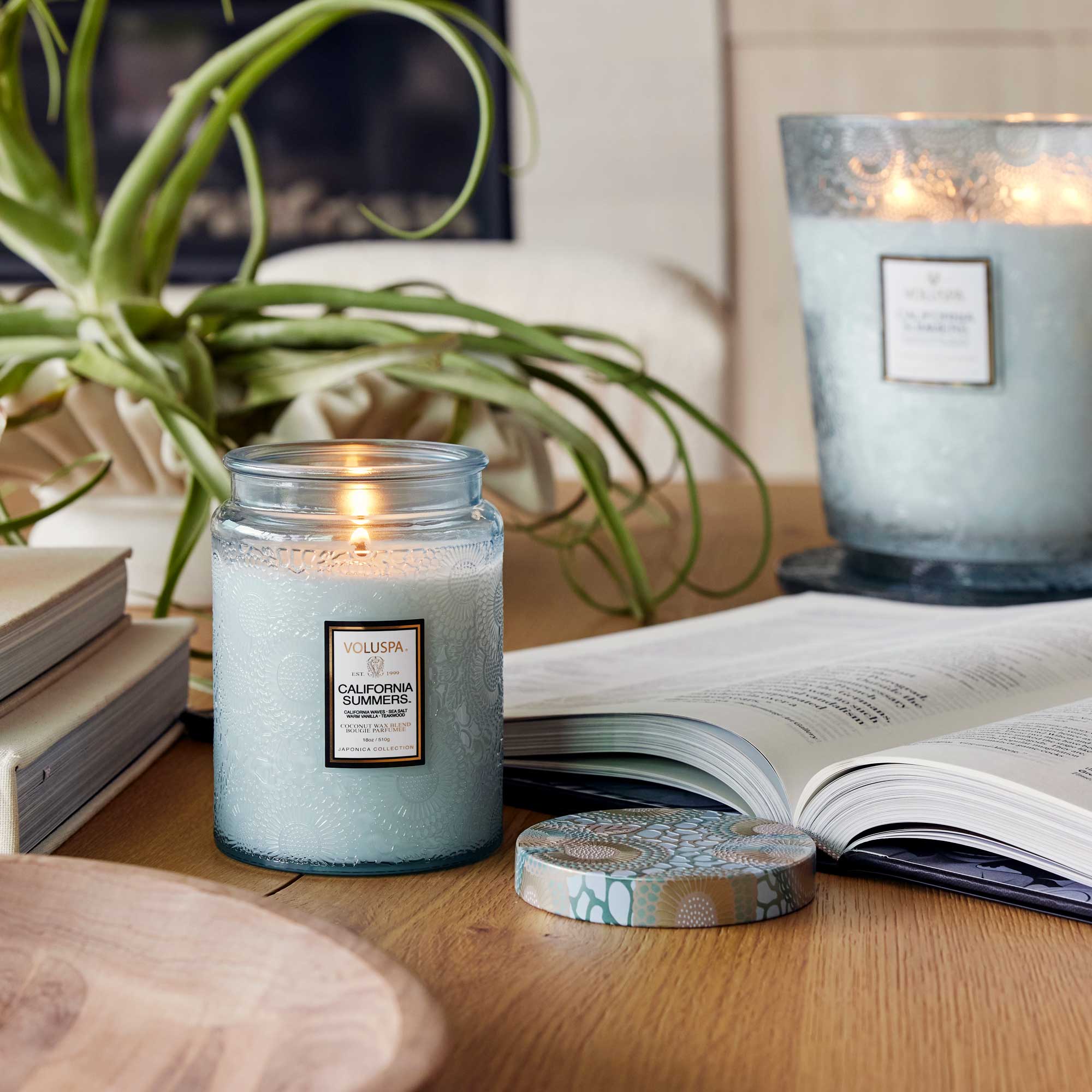 Voluspa California Summers Large Glass Jar Candle - 2
