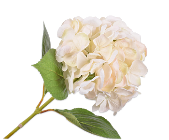 Silkka Flower Hydrangea Cream 64 cm