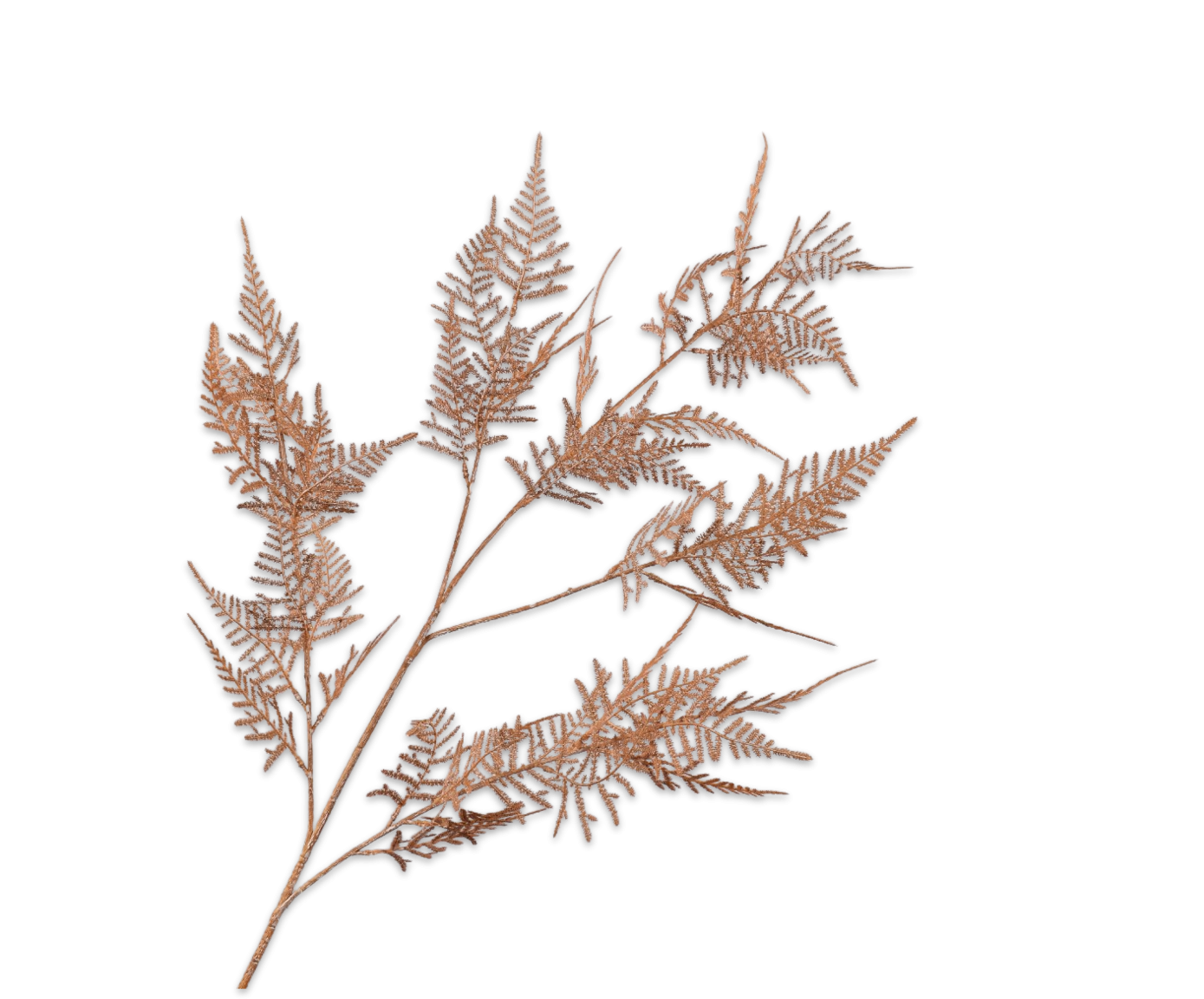Silkka Flower Asparagus Beige 