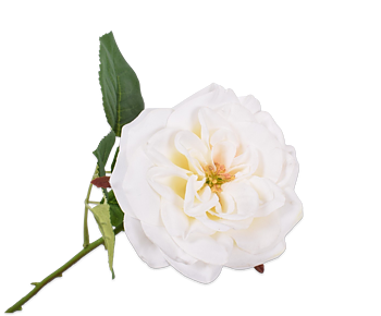 Silkka Flower Rose Stem White