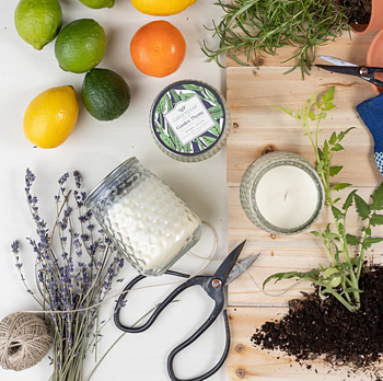 Greenleaf Garden Thyme - Herbal Green Doftljus