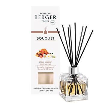 Maison Berger Oriental Star Diffuser