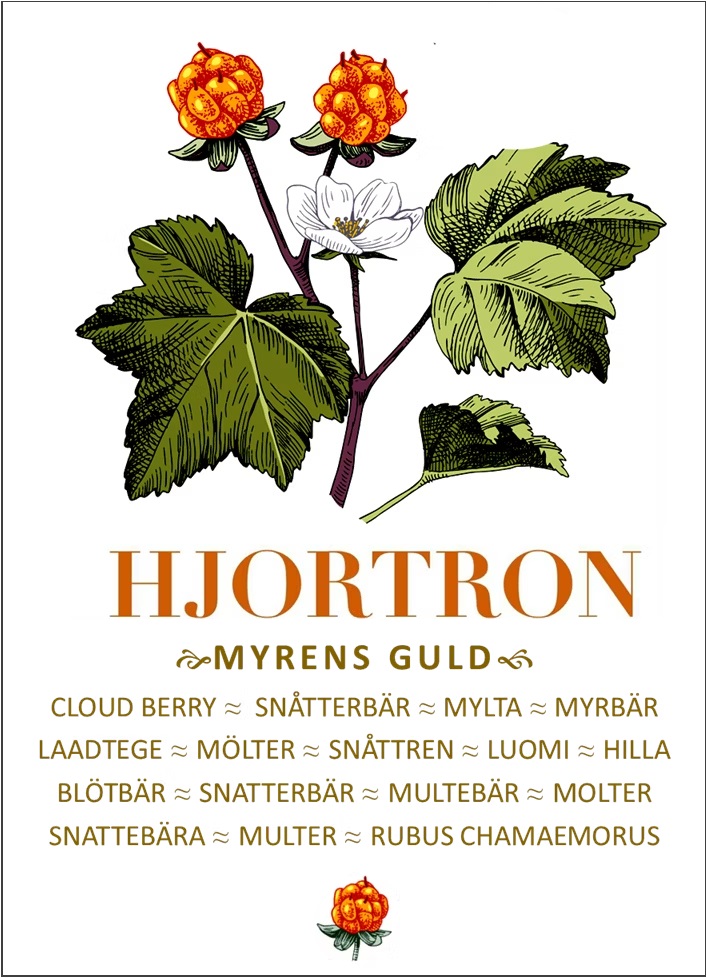 Kökshandduk Hjortron