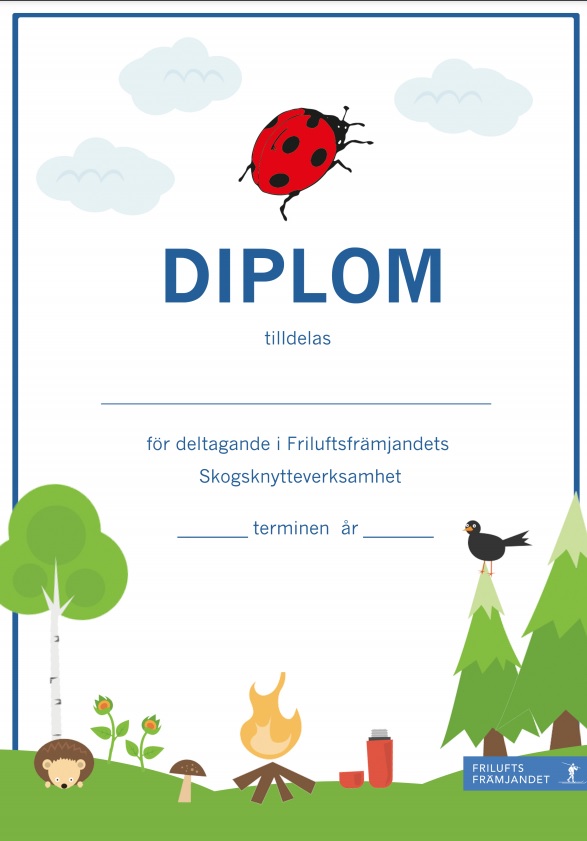 Diplom Skogsknytte Blå - 20-pack