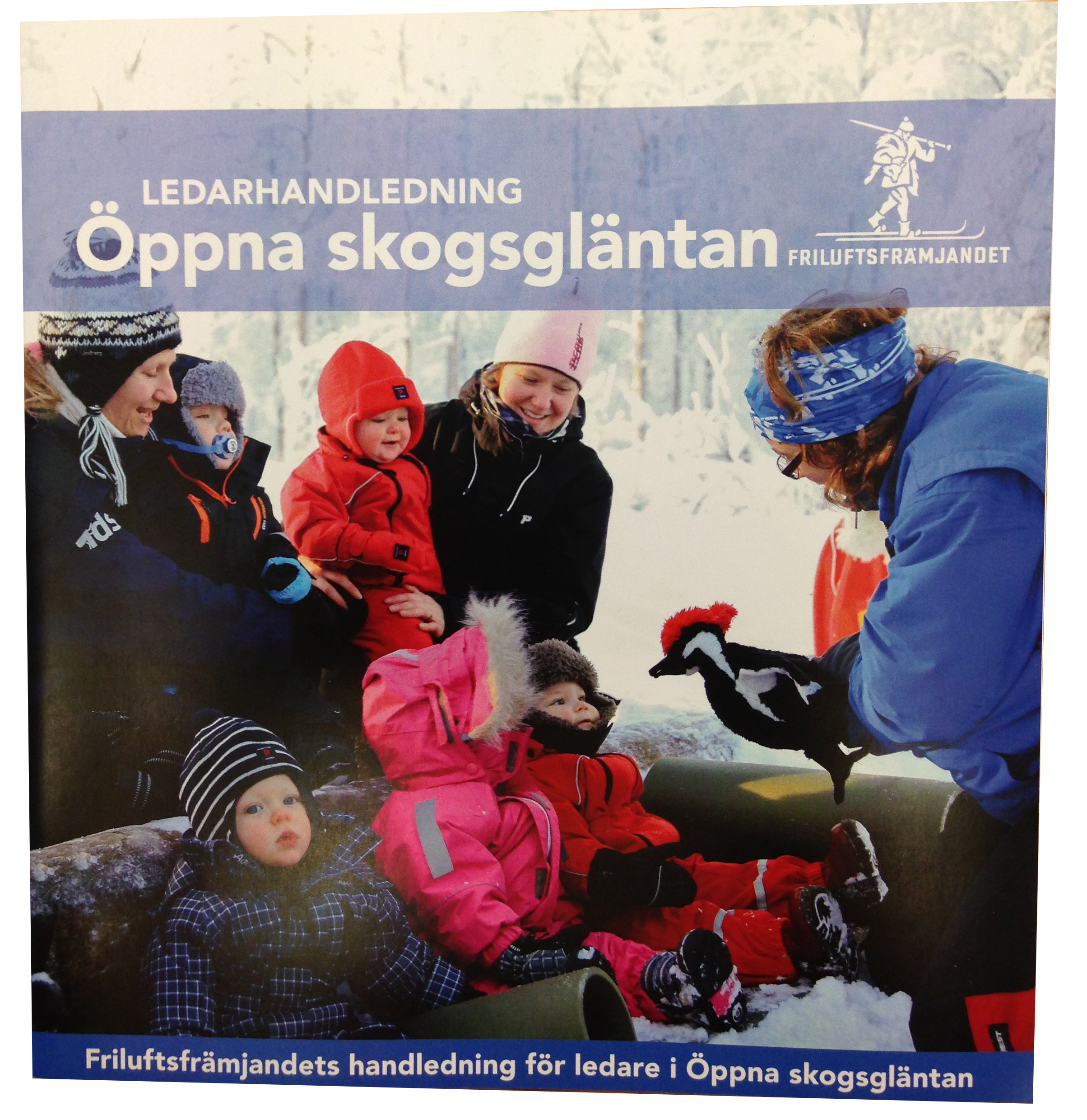 Öppna skogsgläntan-Ledarhandledning