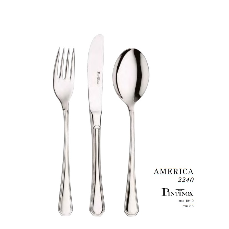 Bestick America Pinti Inox 2240-