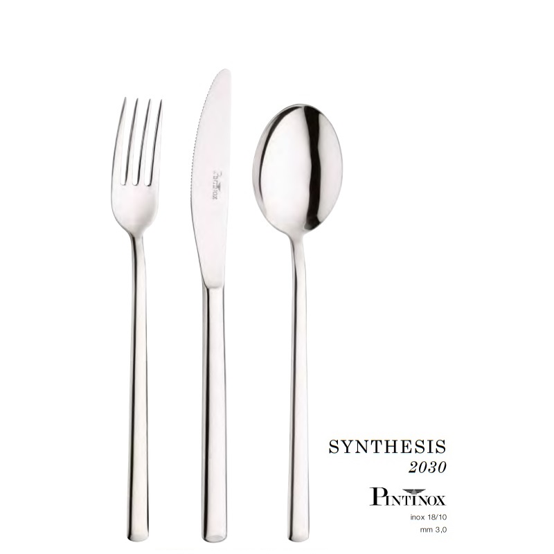 Bestick Synthesis Pinti Inox 2030-