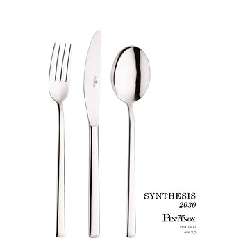 Bestick Synthesis Pinti Inox 2030-