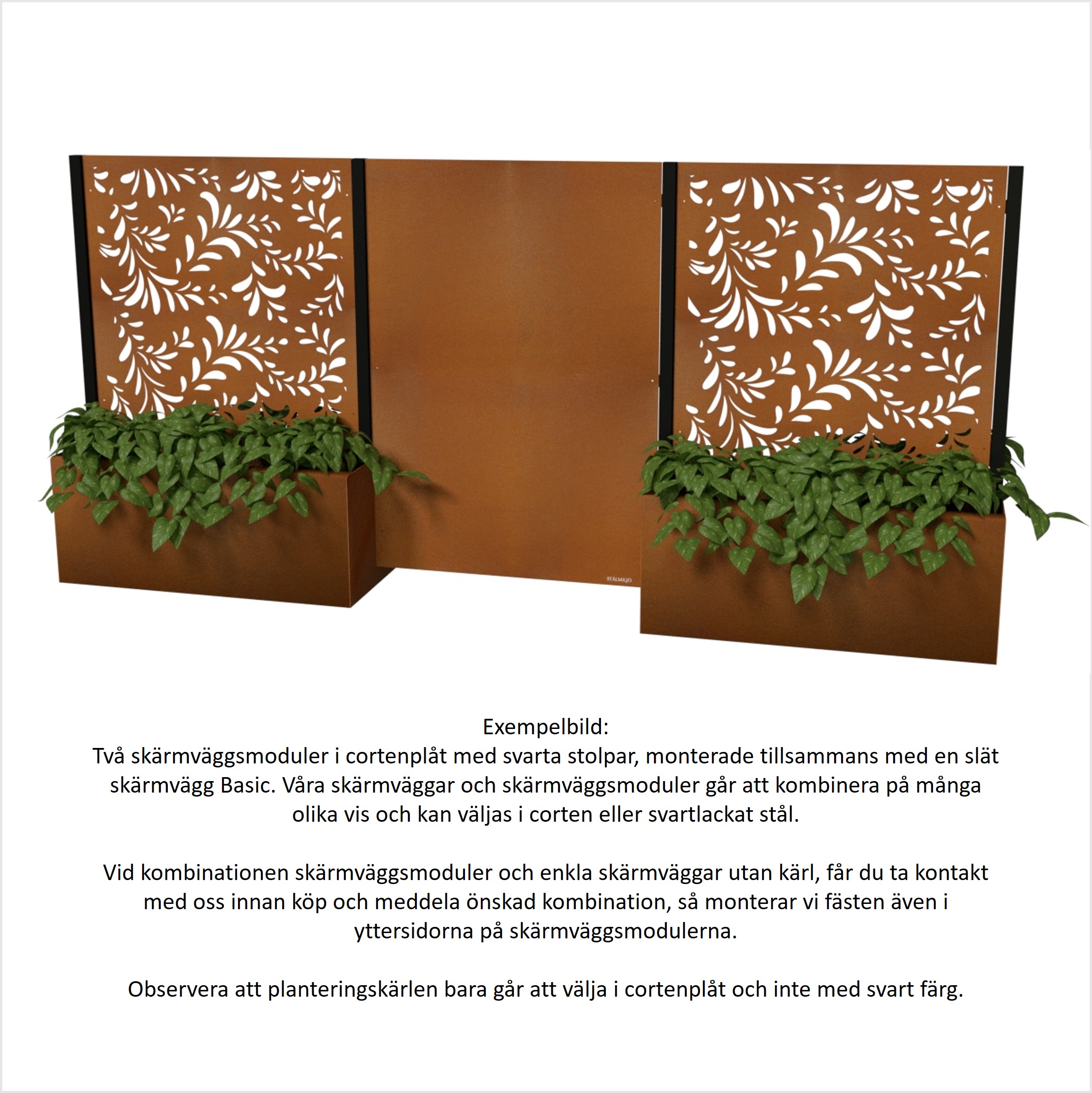 Skärmväggar, cortenstål, rostigt, mönster, gröna blad, blomkrukor