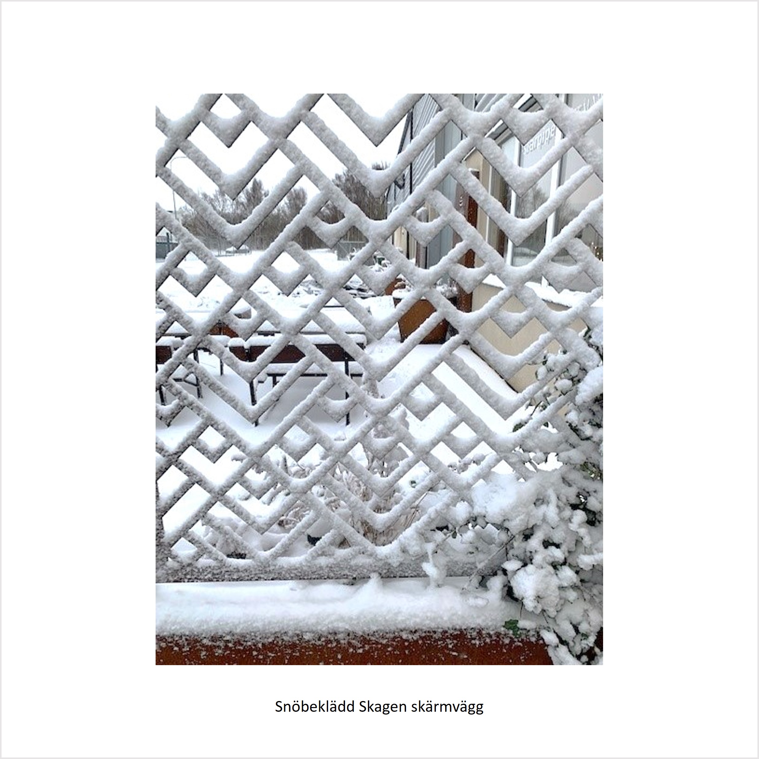 snö, växtvägg, spaljé, skärmvägg