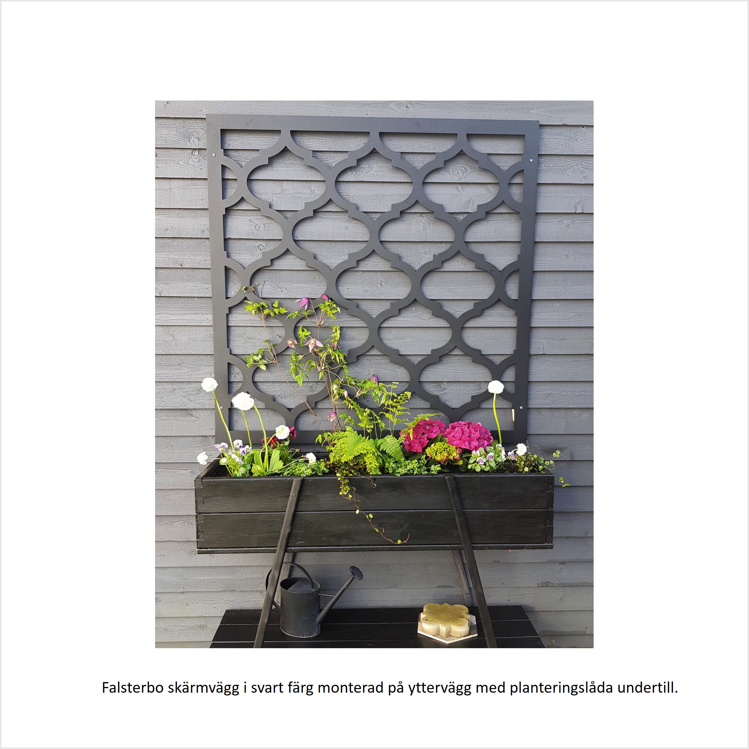 Spaljé, svart planteringsbädd, blommor, svart yttervägg