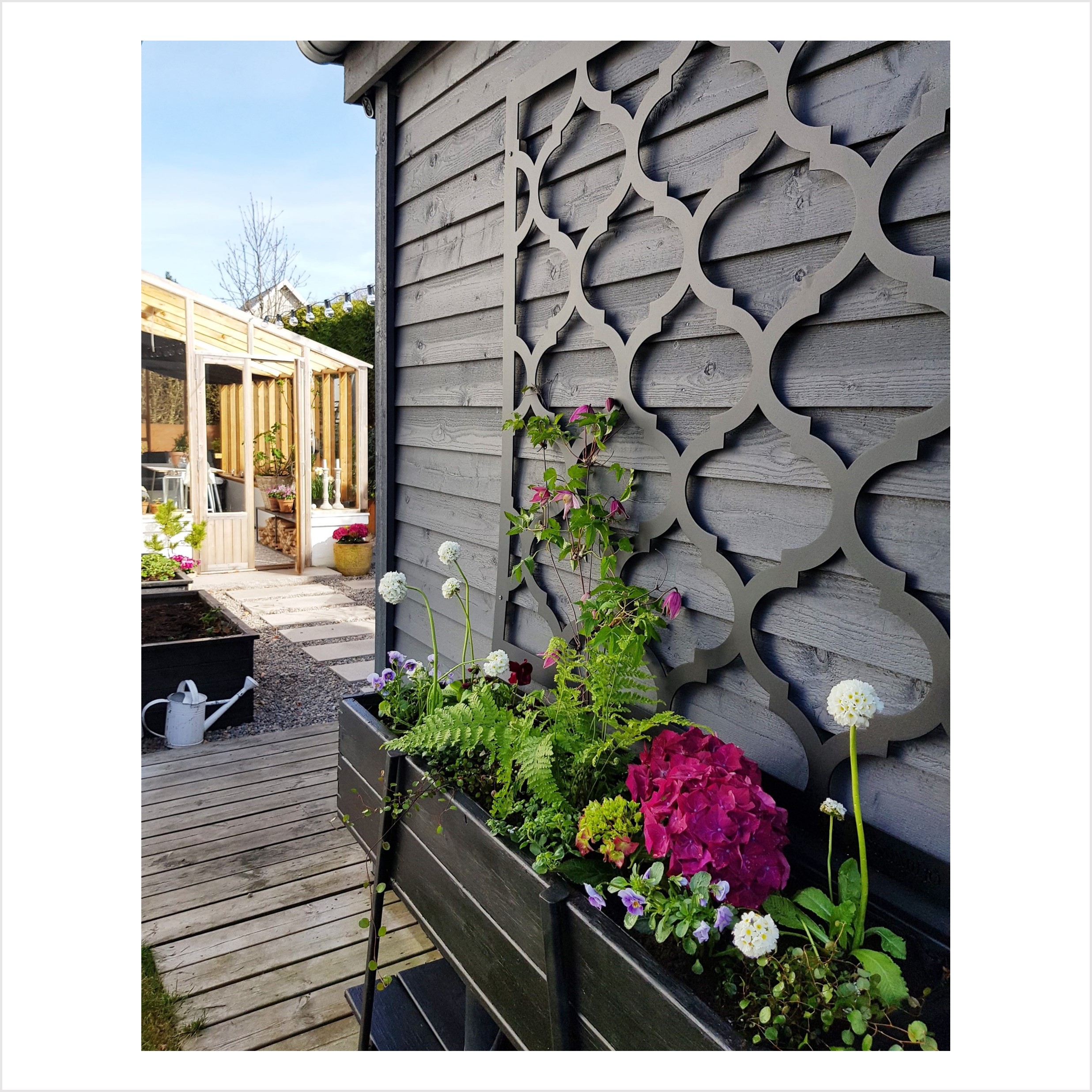 Växtspaljé, blommor, svart yttervägg, växthus, 
