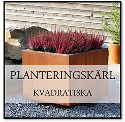 Planteringskärl kvadratiska