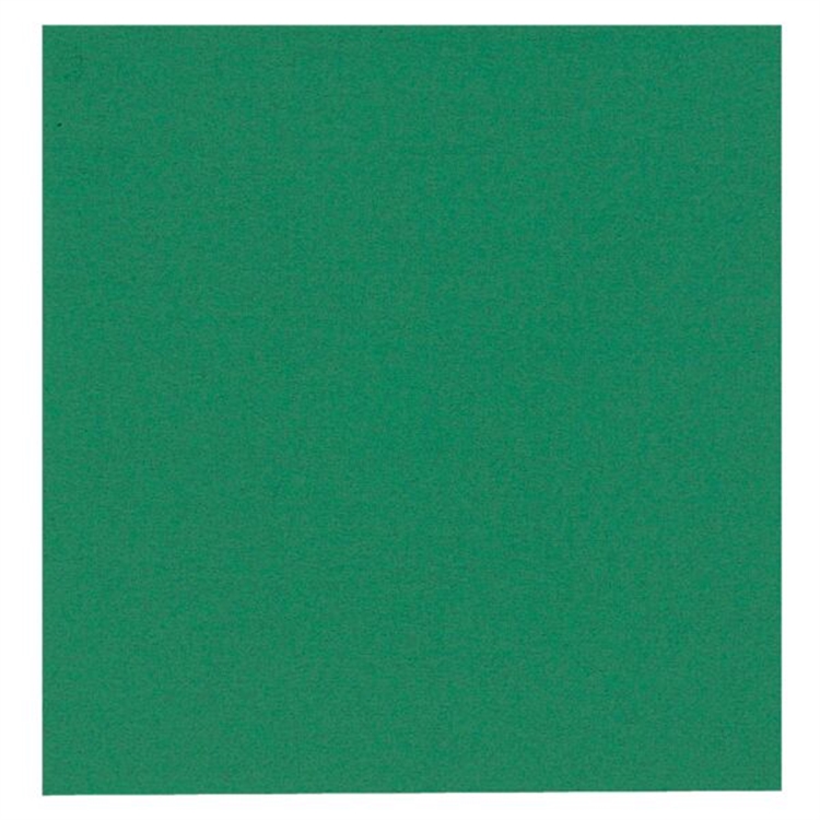 Lautasliina Gastro 24x24 2krs vih /100