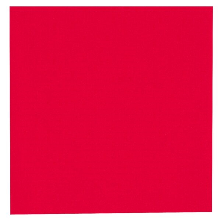 Lautasliina Gastro 24x24 2krs pun /100 - 2