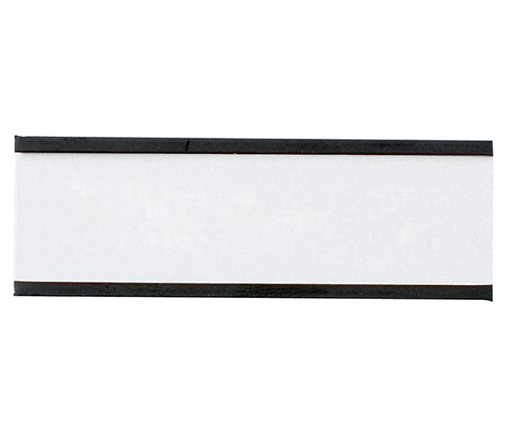 LEGAMASTER MAGN. NIMIALUSTA 20X60MM /54