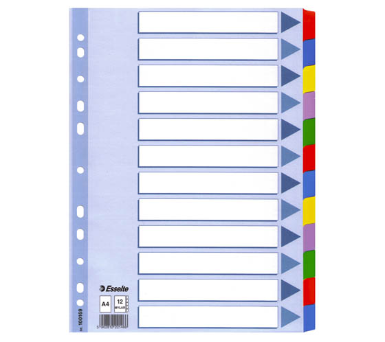 VÄLILEHTI KARTONKI MYLAR 12-JAK. A4 - 2