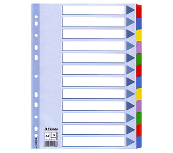 VÄLILEHTI KARTONKI MYLAR 12-JAK. A4