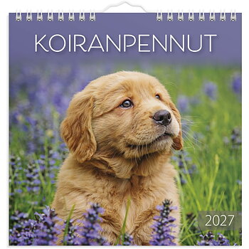 Koiranpennut 2027