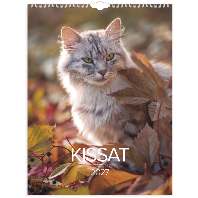 Kissat 2027
