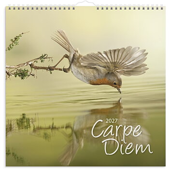 Carpe Diem 2027