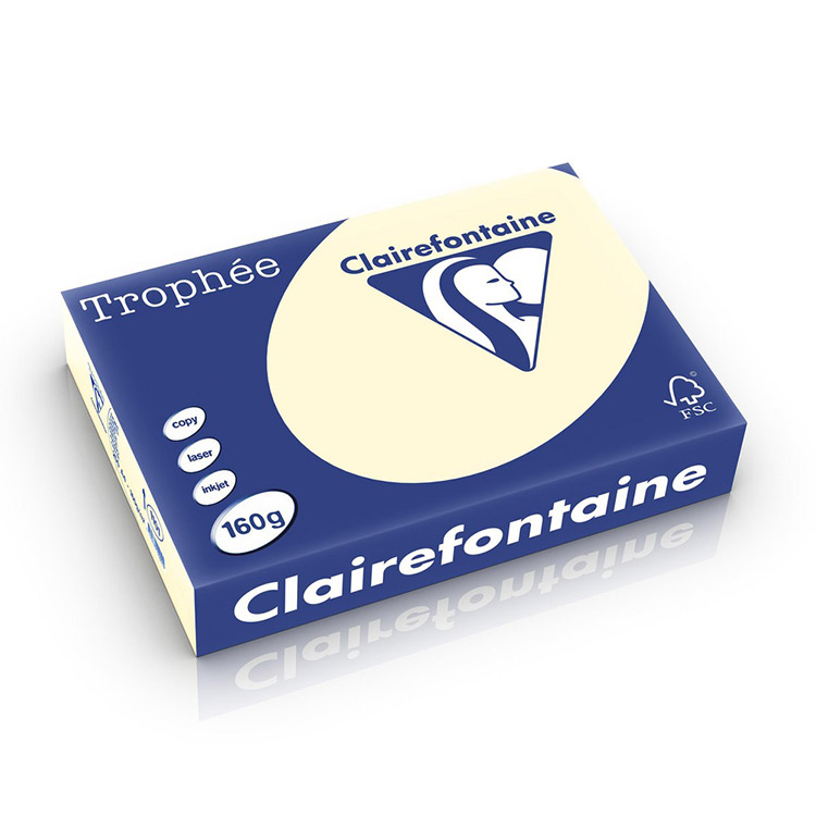 TROPHEE 1101 PAPERI A4 160G NORSUNLUU