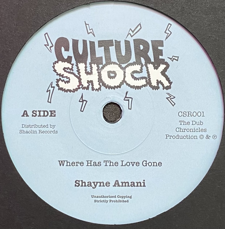Shayne Amani - Where Has The Love Gone