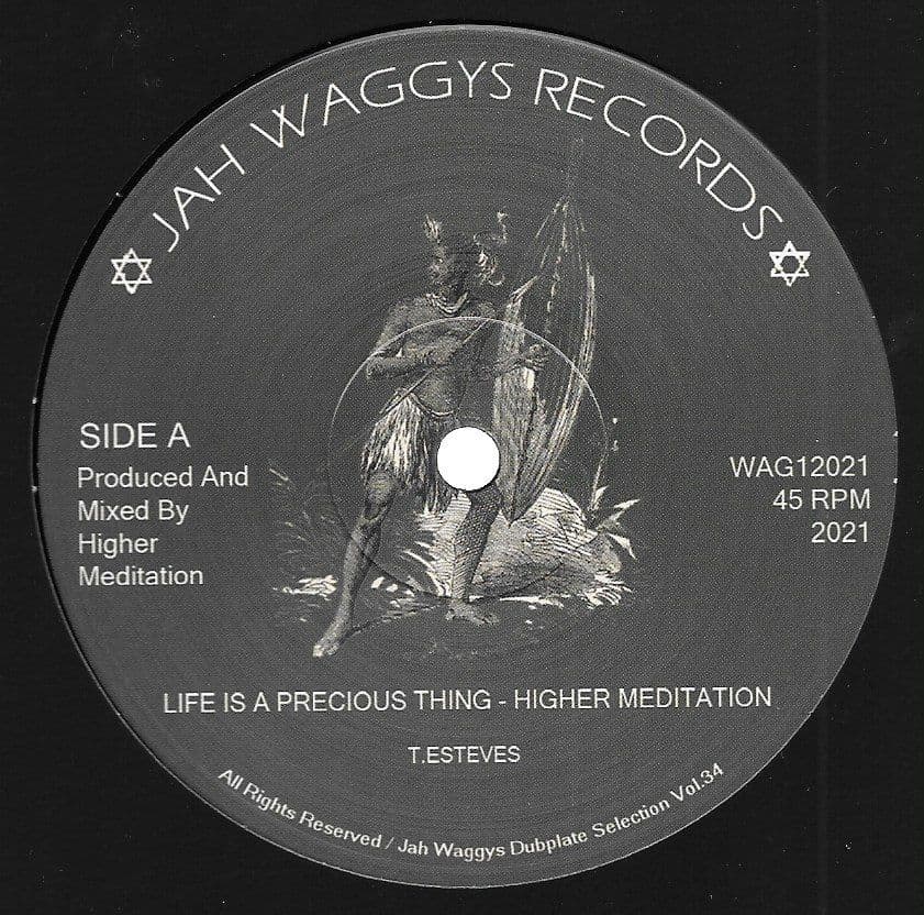 Higher Meditation - Life Is A Precious Thing
