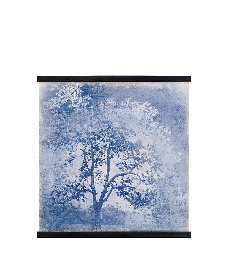 ALBERO BLU TAVLA 100x100 cm