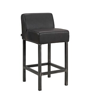 STACEY bar stool with leather seat