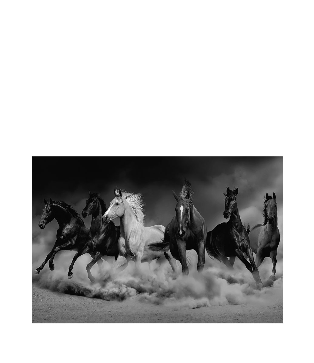 ROYAL FAMILY Fototavla - 120x80, Plexiglas