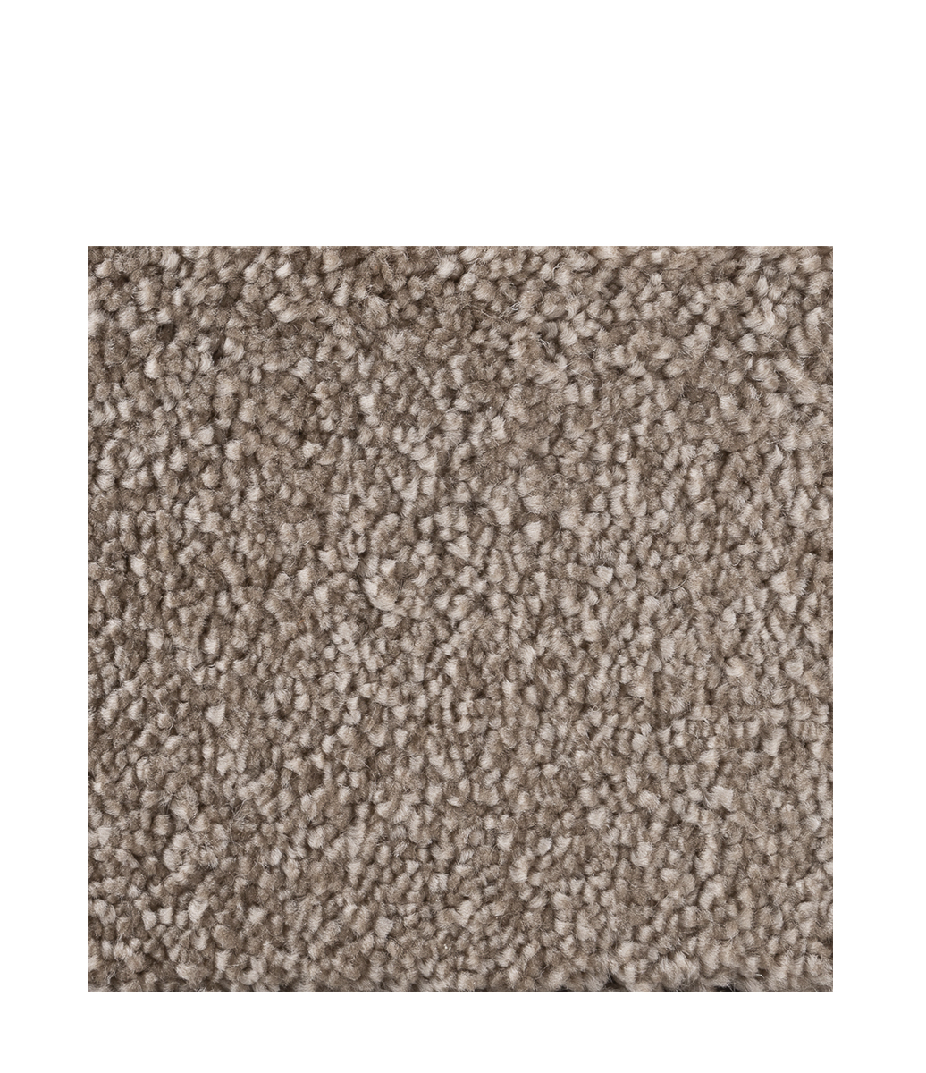 CLEARWATER Carpet Sand - 200x300