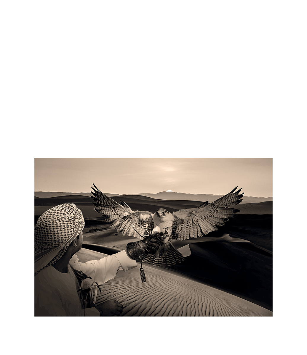 ARABIAN HUNT Fototavla - 150x100, Plexiglas