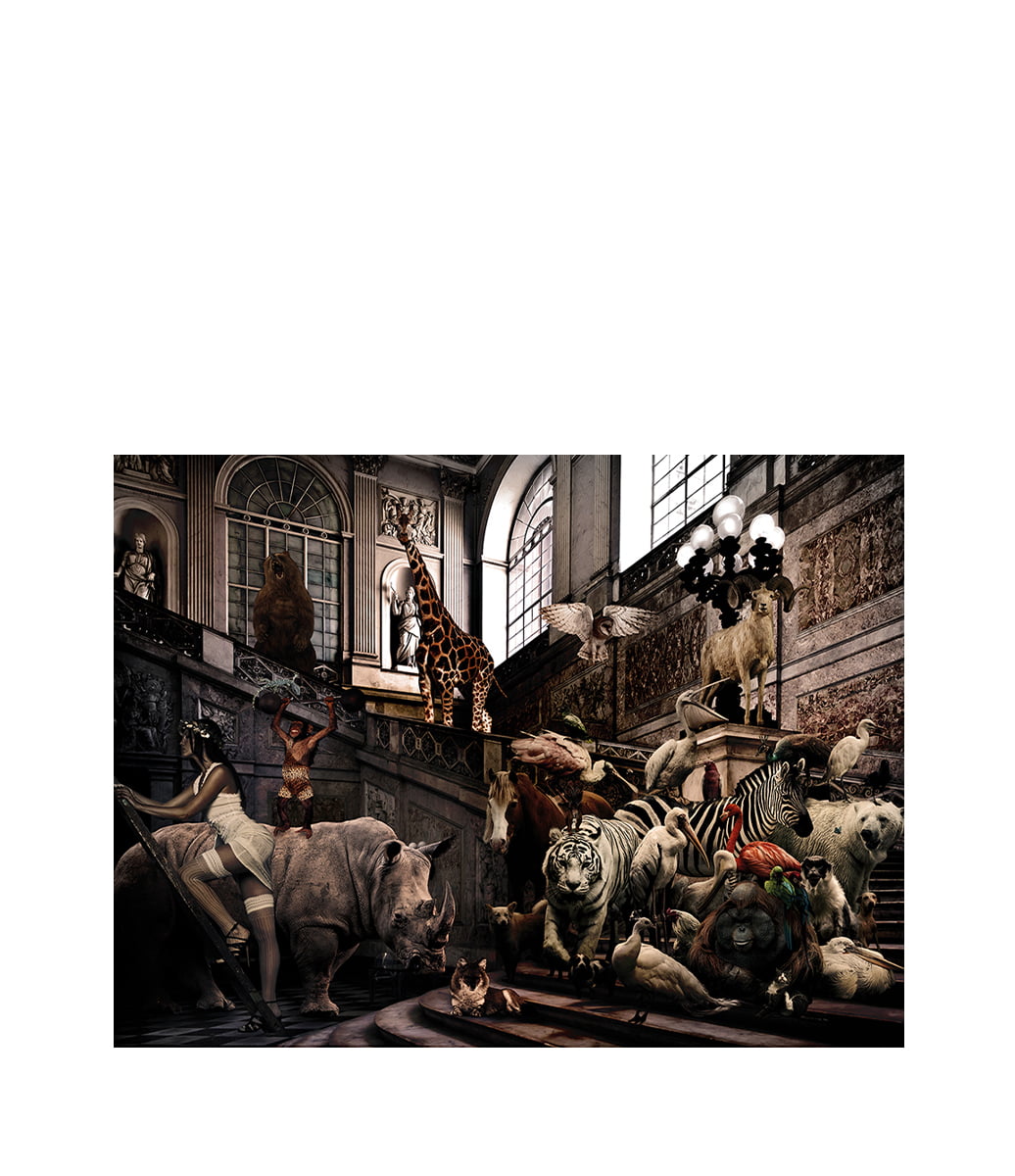 CITY JUNGLE fototavla - 120x80, Plexiglas