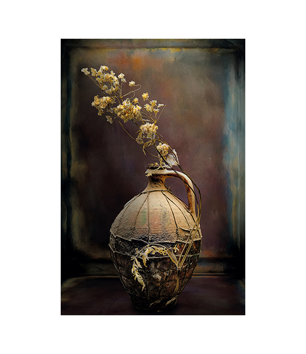 BEAUTY FOREVER fototavla - 80x120, Aluminium