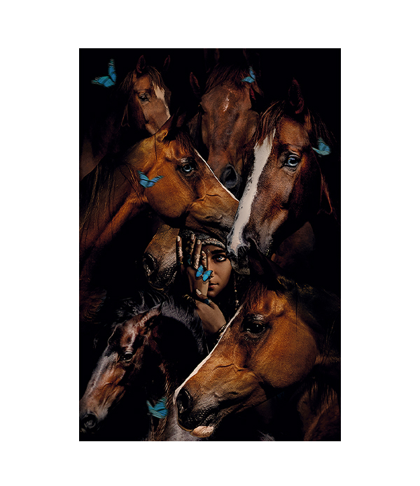 GYPSY HORSES fototavla - 80x120, Aluminium