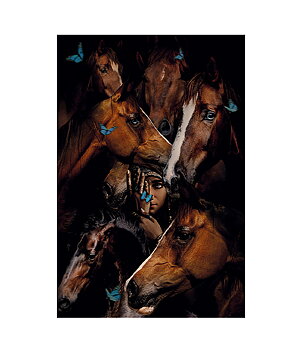 GYPSY HORSES photo board - 100x150, Plexiglas
