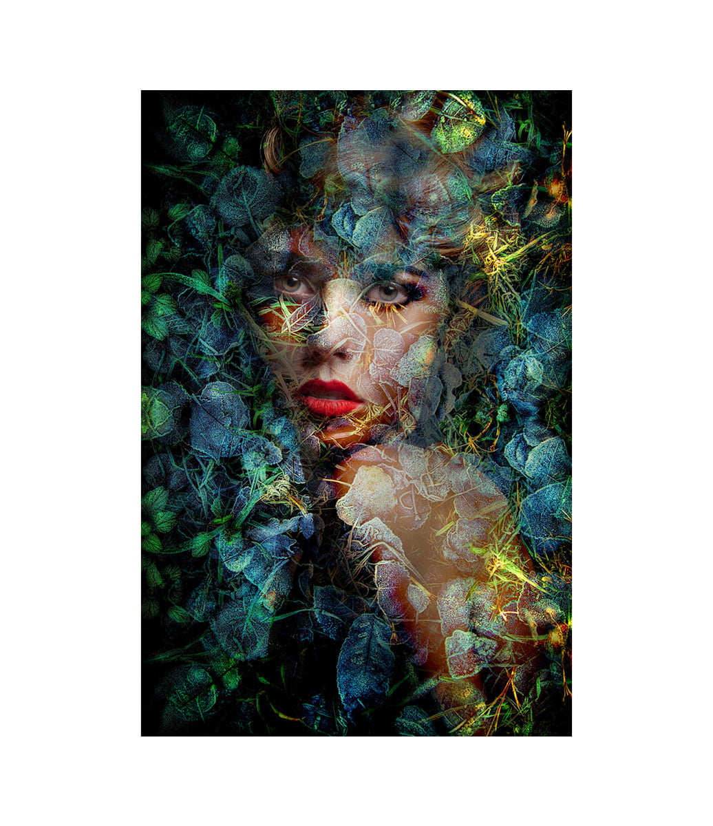 BLUE AUTUMN Fototavla - 120x180, Aluminium