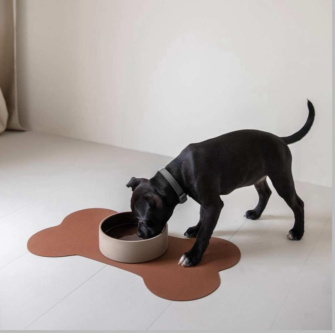 Underlägg Hund Medium Svart - 2
