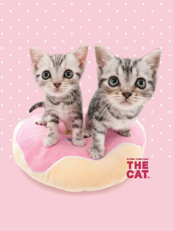 Katt Filt Flecce Polar 75 x 100