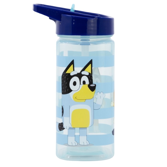 Bluey Vattenflaska 510 ml - 2
