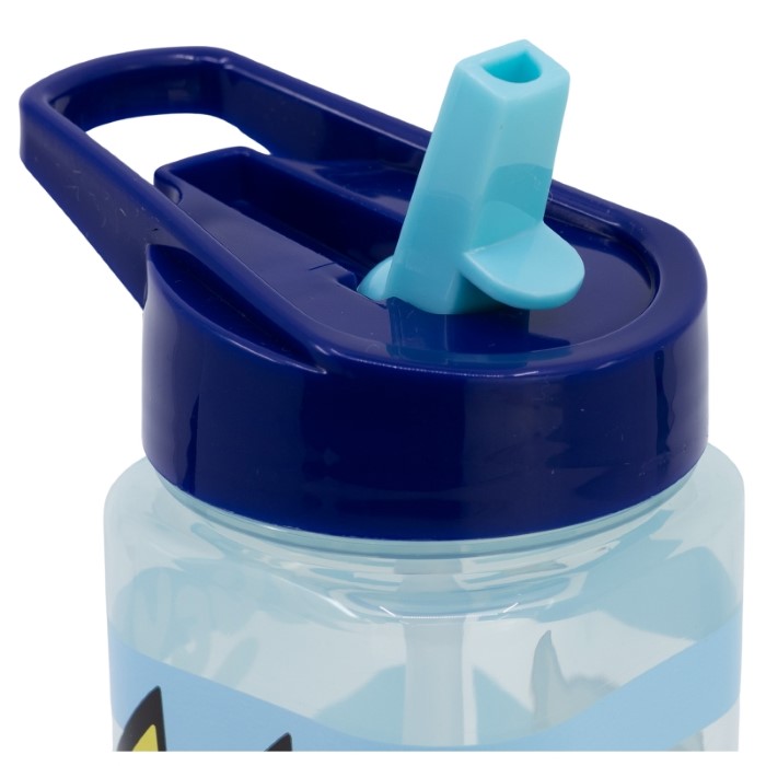 Bluey Vattenflaska 510 ml - 3