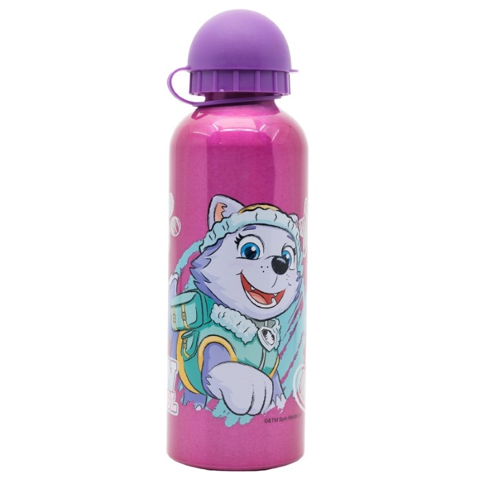 Paw Patrol Vattenflaska 530 ml Aluminium Girl - 2