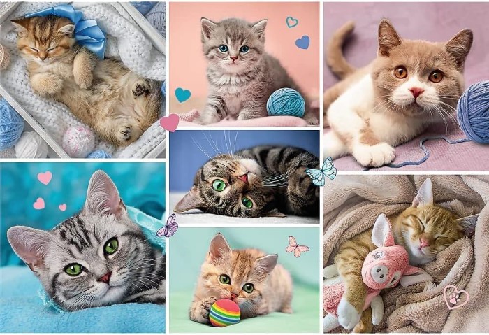 Katt Pussel 100 Bitar - 2